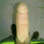 wolfbad1