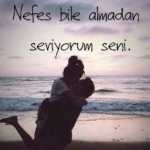 Omidsh56