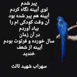 Ebrahim13