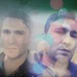 arash3956