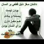Ali1404