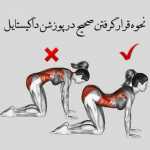 mojtaba1374