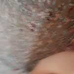 Meysam11