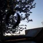 Milab