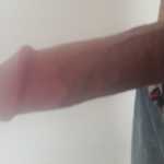 Reza18cm