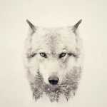 mobham_0312