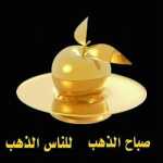 danyal51