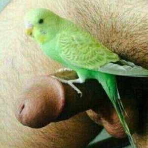 Post 11711