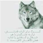 Rahavqw