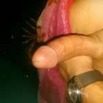 arash_822