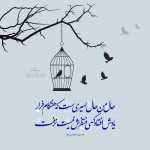 Samman23