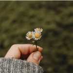 didar55