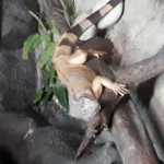 Mohsen34