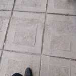 Shahin_0501