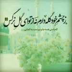 mojtbaii