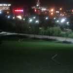 Omid1355