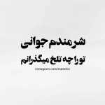 Morteza1305