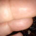 Babaabdad