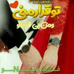 Hamedhasani6870