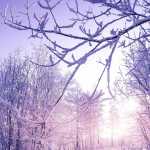 wakeful22