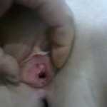 farhad1212