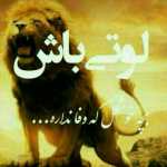 Mohamad2001