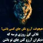 Sinsin143
