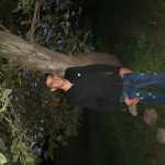Mohamadmohebi