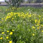 Vahid9683