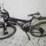 Alipor