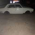 Nima00001373