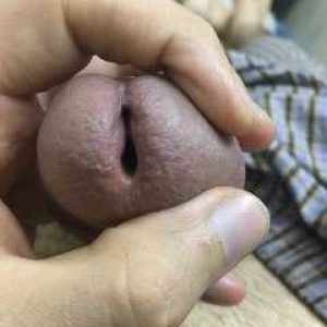 داااالی