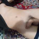 paliss17