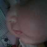satar