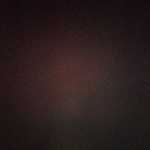 Pooya_pooroo