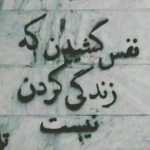 Hamidazad74