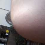 Omid2040