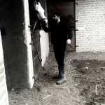 Mohammadrzzz1999