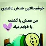 amyrparsa414