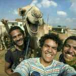 masudseyed