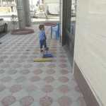 alborz123456789