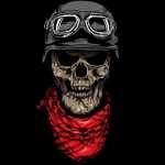 Morteza69311