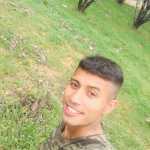 bigboss