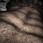 Salehsexxxx