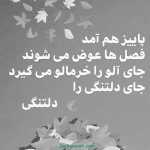 iham_24