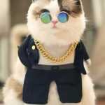 Hamed8888