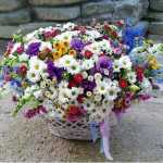 Aliblue1357