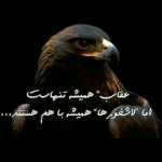 Civil
