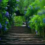 hesam4