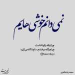 amir0987